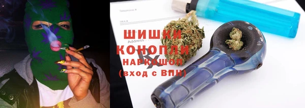 гидра Аркадак