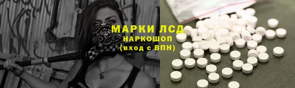 гидра Аркадак