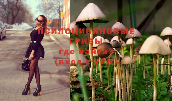 круглые Арсеньев
