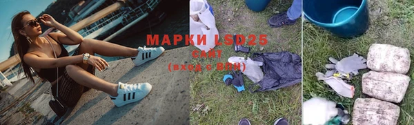 гидра Аркадак