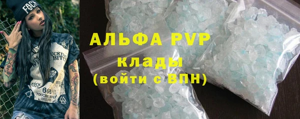 гидра Аркадак